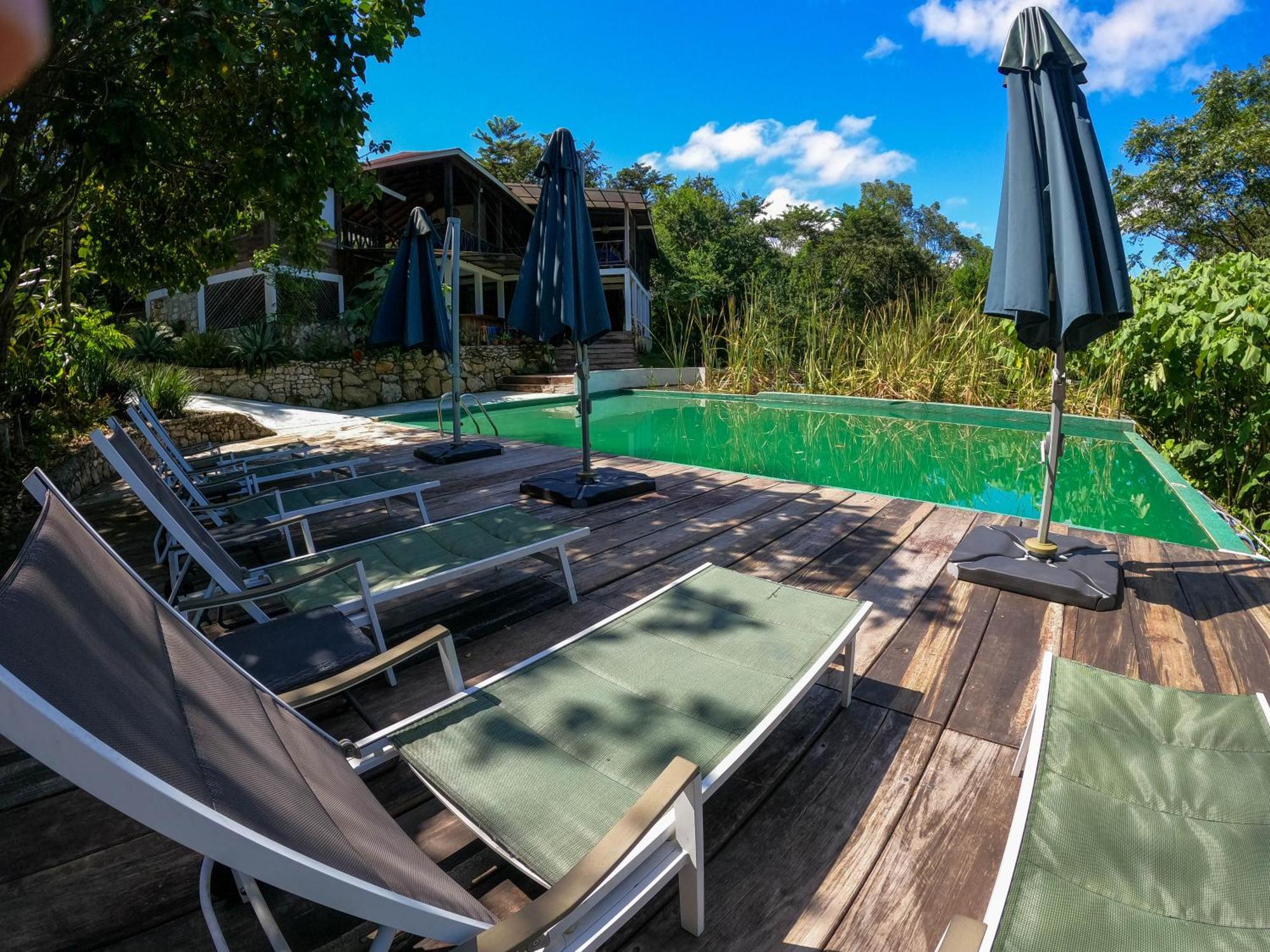 Vila Winíka Alterra Palenque Exteriér fotografie